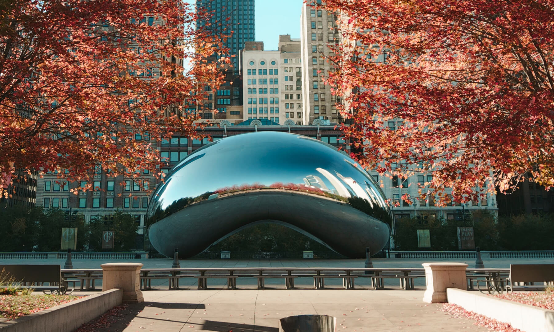 Chicago Bean Chicago Bean